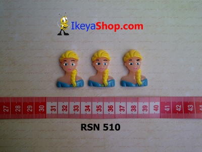 rsn 510  large2